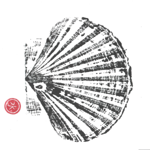 Carte postale Coquille Saint-Jacques