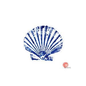Affiche Coquille bleue 24 × 30 cm