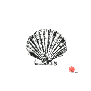 Affiche Coquille noire 24 × 30 cm
