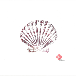 Affiche Coquille rose 24 × 30 cm