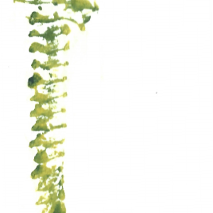 Marque-page Hippocampe vert